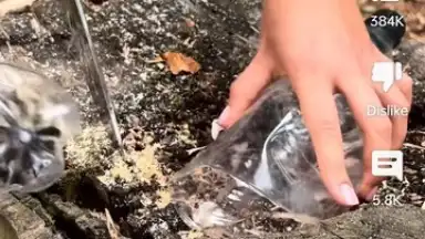 YouTube screenshot 8
