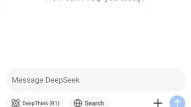 DeepSeek screenshot 9