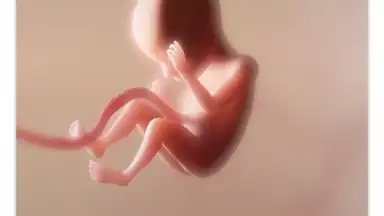 Pregnancy + screenshot 1