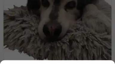 PhotoRoom screenshot 8