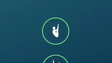 Veriflite screenshot 3
