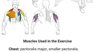 GymBoom screenshot 8