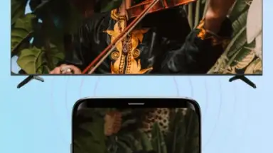 PigeonCast - TV Cast & Mirror screenshot 3