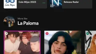 Spotify screenshot 13