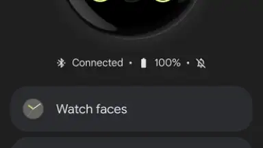 Google Pixel Watch screenshot 2