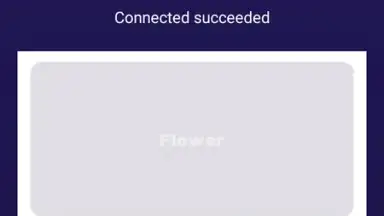 Flower VPN screenshot 1