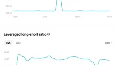 Bitget screenshot 11