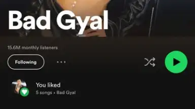 Spotify screenshot 5