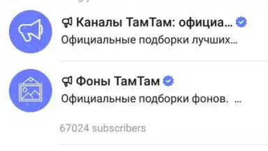 TamTam Messenger screenshot 4