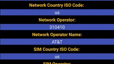 Sim Info screenshot 1