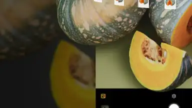 RealityScan - 3D Scanning App screenshot 15