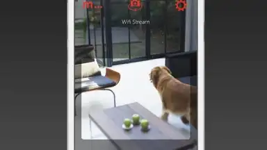 Manything screenshot 11