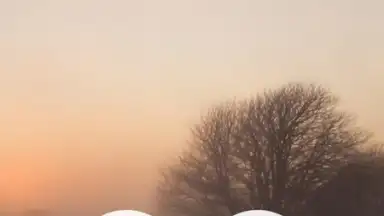 Meditation Music Metapps screenshot 9