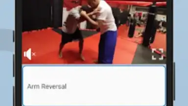 Ultimate MMA Fighting Program screenshot 9
