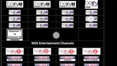 WSS 2.0 World Sports Streams screenshot 1
