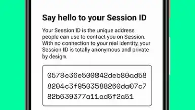 Session screenshot 6