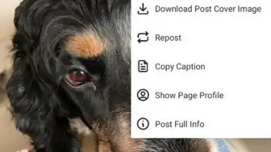 Honista screenshot 1