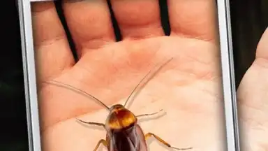 Cockroach Hand Funny Joke screenshot 2