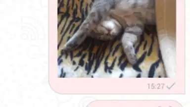 Triple chat, online dating screenshot 2