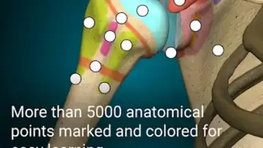 3D Anatomy Learning screenshot 7