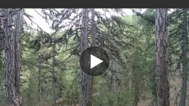 VidTrim - Video Editor screenshot 12