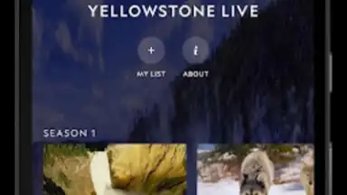 Nat Geo TV screenshot 13
