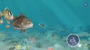 Fishing Strike screenshot 4