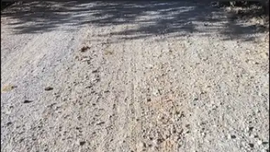 DJI Mimo screenshot 21