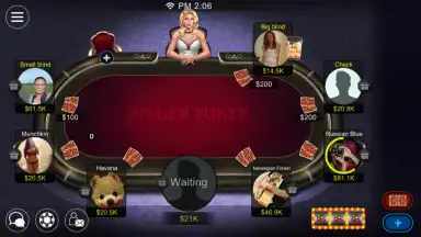 Dinger Poker screenshot 4