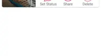 Status Saver screenshot 3