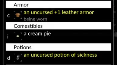 NetHack screenshot 8