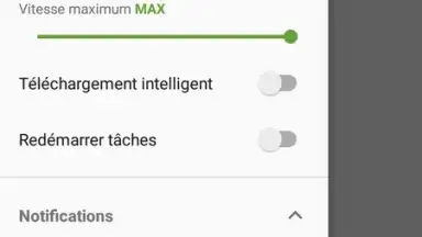 IDM (internet download menager) screenshot 7