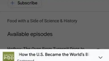 Google Podcasts screenshot 6