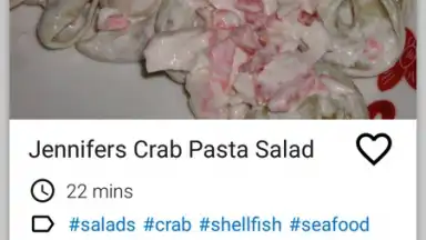 Salad Recipes FREE screenshot 4