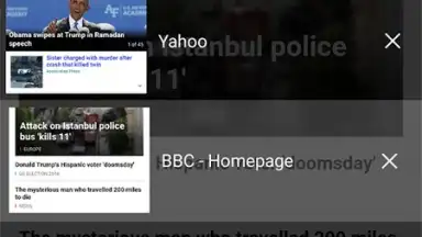 Web Browser screenshot 8