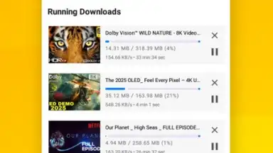 Vidora YouTube Downloader | free & fast screenshot 9
