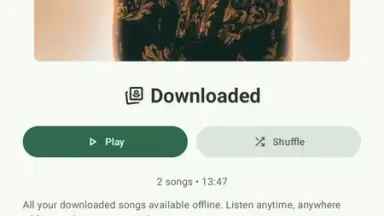 VIVI Music screenshot 17