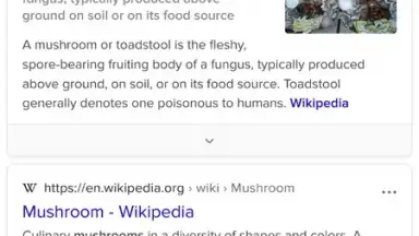 Tor Browser screenshot 5