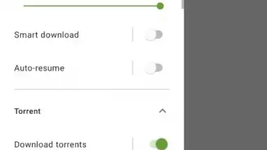 Advanced Download Manager screenshot 10