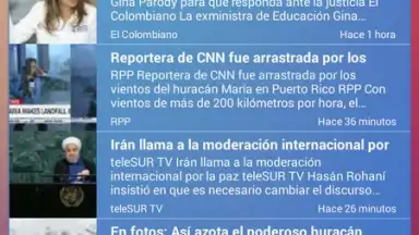 Ding Browser screenshot 5
