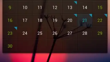 GO Calendar Widget screenshot 6