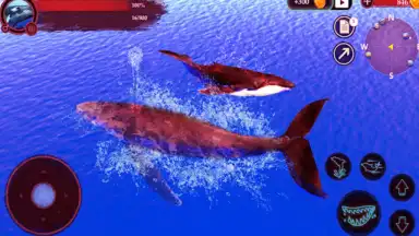 The Humpback Whales screenshot 21