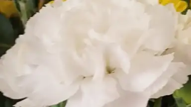 Open Camera screenshot 1