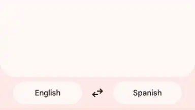 Google Translate screenshot 11