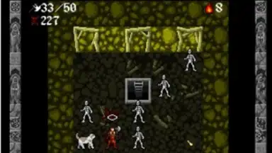 Ananias Mobile Roguelike screenshot 5