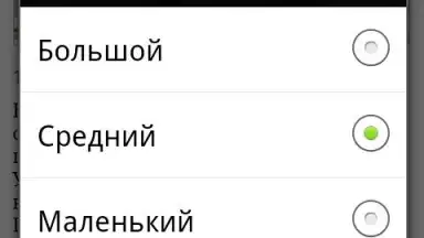 Lenta.ru screenshot 2