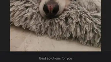 Wink screenshot 12
