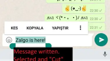 Upside Down Chat+ screenshot 13