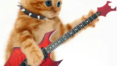 Talking, Dancing Cat. screenshot 3