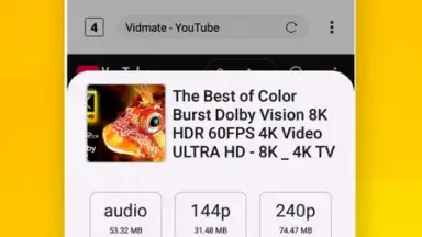 Vidora YouTube Downloader | free & fast screenshot 2